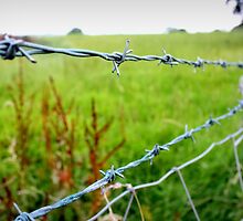 Wired Off by Photographgirl8