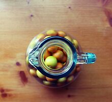 Rural citrus by possumhollow