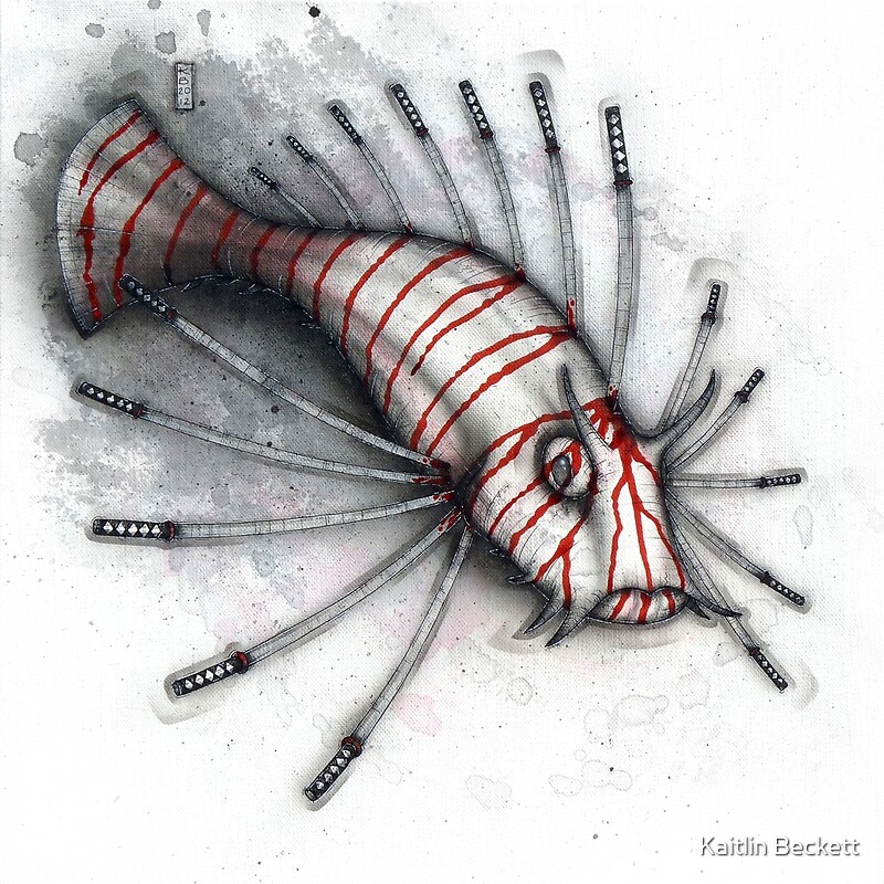 Lionfish: Drawing | Redbubble