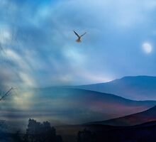 Mystery at Eventide by Mark Wade