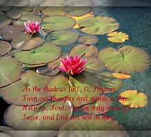 As the shadows fall by BlueMoonRose