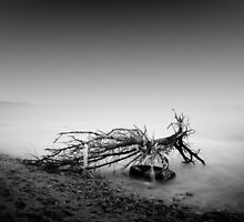 ... by alexey sorochan