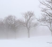 Foggy Trees by Gilda Axelrod