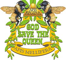 God Save the Queen by himmstudios