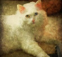 Vintage Kitty Cat by Scott Mitchell