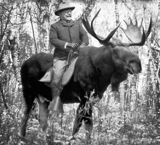 roosevelt riding a moose