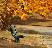 Autumn Benches by Gilda Axelrod