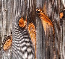 Weathered Wood Siding by Kenneth Keifer