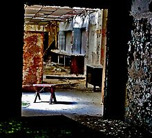 The Aftermath by Gilda Axelrod