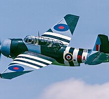 Eastern TBM-3E Avenger 91110 N6827C by Colin Smedley