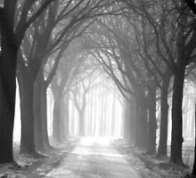 Light at the end.. by liesbeth