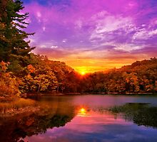 Sunset Deluge by Christina Rollo