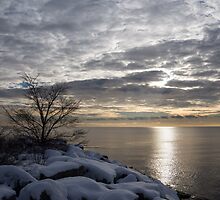 Lakeside Silver – Winter Morning Light by Georgia Mizuleva