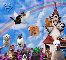 .¸¸.•´¯` RAINBOW BRIDGE OF FOREVER REMEMBERED´ .¸¸.•´¯` by ✿✿ Bonita ✿✿ ђєℓℓσ
