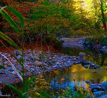 Autumn sojourn by MarianBendeth