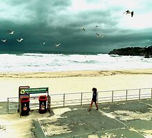 Bondi Birds by ShotsOfLove
