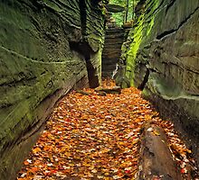 Hidden Passageway by Kenneth Keifer