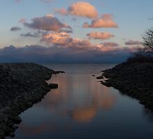Pink and Blue Serenity - a Lakefront Stillness by Georgia Mizuleva