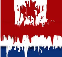 canadian/dutch by yvonne willemsen