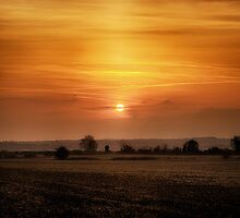 Sunset Sojourn by Vicki Field