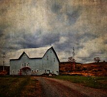 Wired Jungle of the Catskills by PineSinger