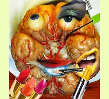 Makeup of the Brain by Brendan Coyle