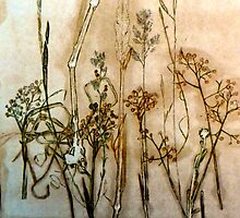Mornington Peninsuala Grasslands 4 by Belinda "BillyLee" NYE (Printmaker)