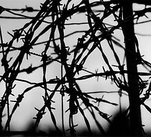 freedom by Mik Efford