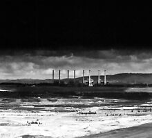 The Yuppie Shall Inherit the Earth by Mik Efford