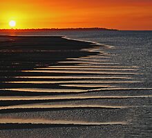 Hervey Bay by Darren Stones
