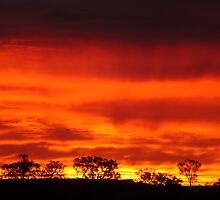 Firey Sunrise, Batton Hill, North Simpson Desert by Joe Mortelliti