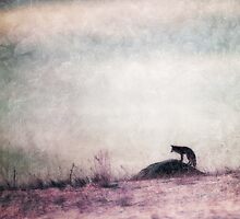 I only hear silence by Priska Wettstein
