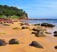 Bar Beach - Merimbula by Darren Stones