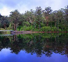 Big Brook Dam - Pemberton Western Australia by EOS20