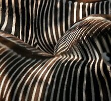 Abstract Reality by charmedlife9