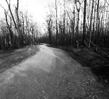there's a track....Gippsland bushfires 2007, Vic by Tony Middleton