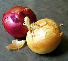 Two Onions by Lee Anne French