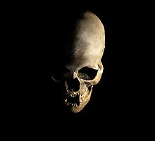 Female human skull by JBlaminsky