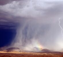 Desert Mystique by Dreamcatcher