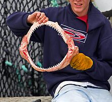 Jaws by Darren Stones