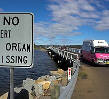 Taking The Piss by Darren Stones