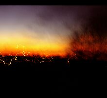 The Warning by Patrick Steen