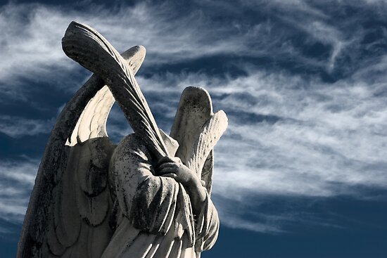 Fallen angels essay