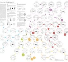 Chart for emotions and facial expressions by Joumana Medlej
