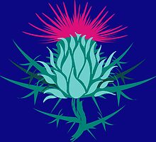 Scottish Thistle by eyemac24
