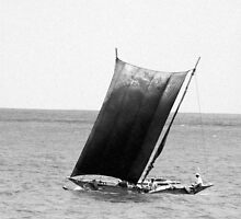 Sail by Kylie Reid