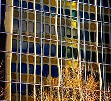 Distorted Reality by Andrew Brown