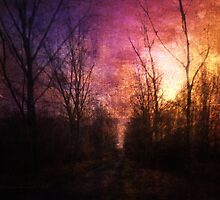 Eternal Enigma by mimulux