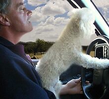 ☸•°*”˜SIT BACK AND RELAX - LET ME SHOW U HOW TO DRIVE CANINE STYLE--INCLUDED IS MY WRITTEN POEM”*°•☸ by ✿✿ Bonita ✿✿ ђєℓℓσ