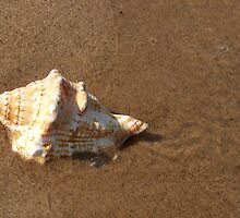 Beach Bubble by Maria Dryfhout